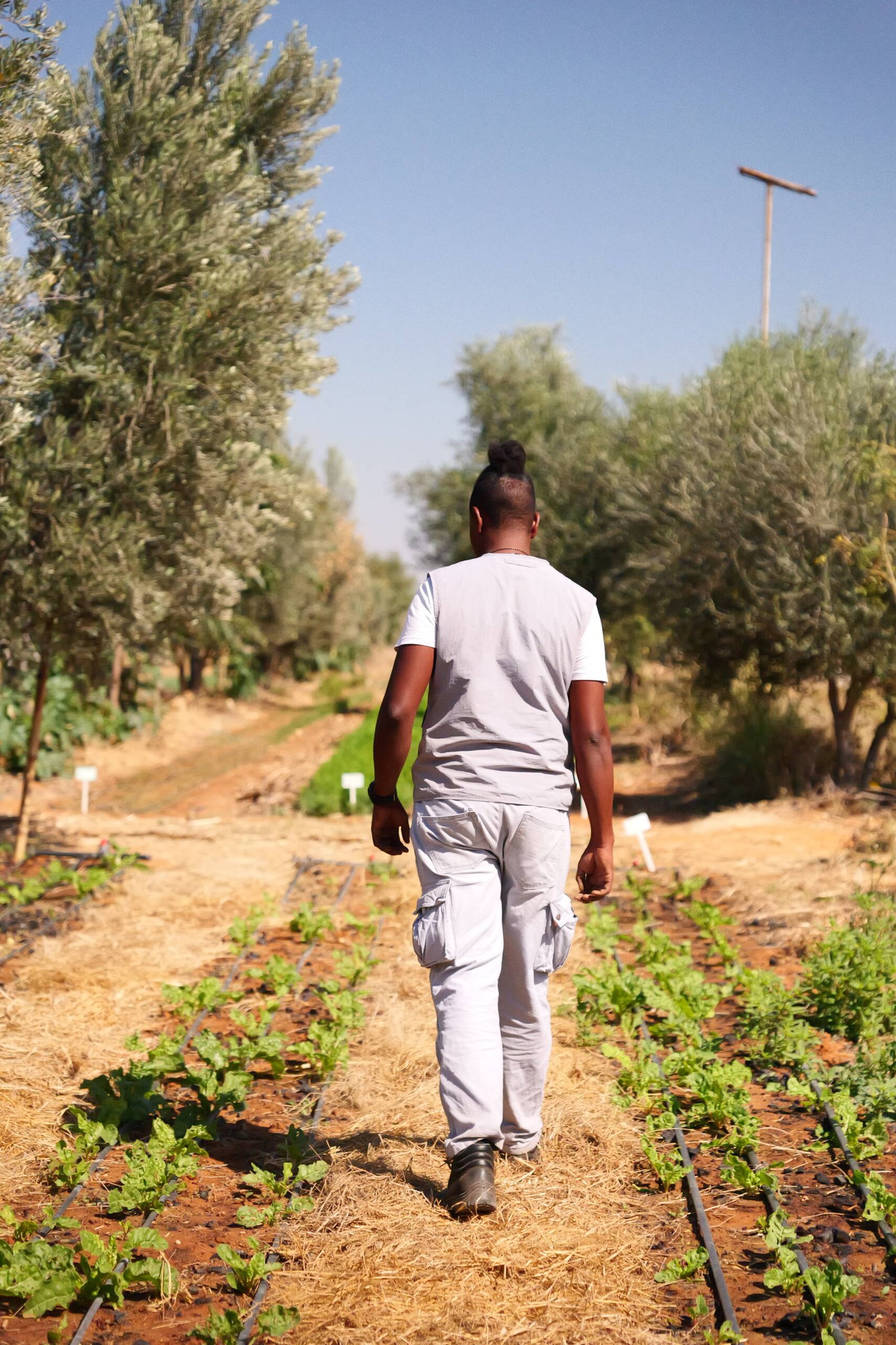 Namibia Steps For Children