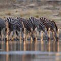 Etosha Nationalpark