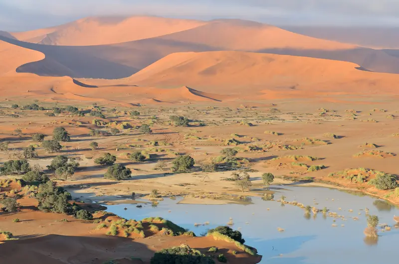 Rote Dünen der Namib mit Wasser nach starken Regenfällen