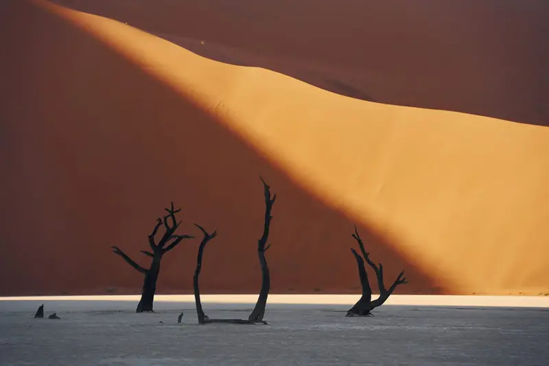 Tote Kameldornbäume vor einer roten Düne im Deadvlei